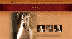 Desktop Screenshot of latifka.com